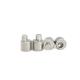 Eccentric Adjusting Stainless Steel Screw Rear Axle 4.9X13 Polished SUS304