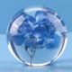 Business gift Flower Resin Ball , Crystal acrylic paper weight