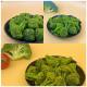 Crunchy Green Goodness Savory Vacuum Fried Broccoli Snacks Delights