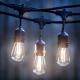 12 Bulbs Commercial Grade LED String Lights