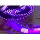 UVA UV C Germicidal Purple Led Light Strip SMD335 uv led strips 254nm 360nm 365nm 455nm