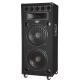 NEW Hot sale 2.0 professional stage speaker with USB/SD/FM laser light