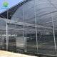 UV Resistant Plastic Sheeting Greenhouse 20-100m Length Mosquito Net Greenhouse