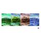 3D Flip Lenticular Poster Printing With 12x17 Inches Four Season Tree