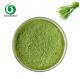 Food Grade Barley Grass Dried Green Fruit Vegetable Powder Health Care