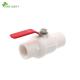 1/2 to 4 Socket Threaded PVC Two PCS Ball Valve with Ss Handle and 1 Piece Min.Order