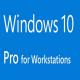 50 PC  Windows 10 Activation Code International 2GB Pro Key Codes