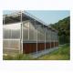 Commercial Agricultural Greenhouse with Hydroponic System and 8mm PC Sheet Covering