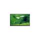 N140BGE-L23 1366*768 14.0 inch 40 pins LCD Screen Monitor