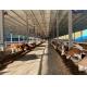 50m2 Prefabricated Cow Shed Designs Dairy Farm Shed with Q235 Carbon Structural Steel