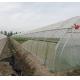 Initial Payment Large Pepper and Flower Hydroponic with Film Greenhouse Full Payment