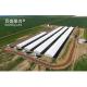 Steel Farming Buy Poultry Control Shed Farm Equipments for Commercial Pig Farm in India