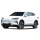 High Speed Fully Electric SUV 4 Wheel New Energy Electric Motor Vehicles