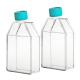 T25 T75 T175 Lab Plastic Sterile Disposable Culture Media Flask Cell Tissue Culture Flask Flatted
