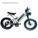 Front Fork Suspension 20 Inch Electric City Bike for Urban Commuters 48V Ebike