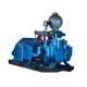 Double Cylinder Horizontal Reciprocating Double Action Piston Pump