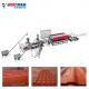 Smart Control PVC Plastic Roof Tile Making Machine Manufacturing and Service Experts