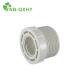 Casting Plastic PVC BSPT Standard Pipe Fitting Nipple Tank Connector Adaptor for Casting