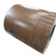 SUS304 Brown Color 1250MM Painted Steel Coil