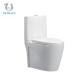 CE Modern Dual Flush Elongated One Piece Toilet Bowl Luxury Smooth Glazed