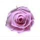 natural preserved roses at cheap price Everlasting Flowers Home Decoration Christmas gift