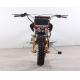 125cc Twin Piston Caliper 75KM/H Dirt Bike Motorcycle