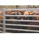 Galvanized Pipe Corral Sheep Cattle Panels Fence 1.8x2.1m