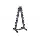 Electrostatic Commercial Gym Equipment Vertical Dumbbell Stand Rack Set For 10 Pairs