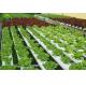 Nontoxic PVC Soilless Culture System Vertical Hydroponic Growing Irrigation Equipment