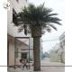 UVG PTR013 Big ornamental artificial coconut tree in silk leaves for outdoor decoration
