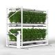 Construction Irrigation Holding Stands Intelligent Home Hydroponic Lettuce Aquaphonics Growing System