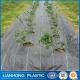 China factory suppy high quality PP weed control agriculture garden greenhouse  PP weed mat