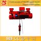 Single and double speed pendent control electric hoist