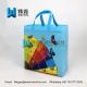 Cheap price recyclable Promotional custom LOGO printed gift PP shopping non woven bag