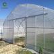 Farm Equipment Vegetables 60m Clear Plastic Greenhouse