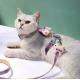 Soft Nylon Cat Harness Leash Escape Proof Adjustable For Kittens Small Animals