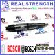 0445120396 1112010-68F-0000 Bosch Diesel Injector For FAW Jiefang De CA6DM2 EU4