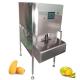 400 KG Fruit Vegetable Processing Machine Pineapple Peeling Machine