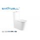 Soft Surface Rimless Close Coupled Toilet Two Piece Structure 800 * 380 * 880mm