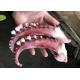 seasoned squid tentacle chemical off white color no additives forzen squid rings with EU standard IQF