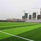 Apple Green 50 Mm Artificial Lawn For Soccer Court Other Sports Cover