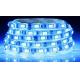 IP65 1080lm SMD5050 RGB Led Flexible Strip Lights 7.2w/M 2800k With PVC Cover