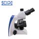 BK5000 CE / RoHs Certificated Binocular Biological Microscope Suitable Science
