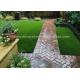 SEDEX 25 Stitches/10cm Artificial Grass Turf For Residential Yards