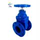 DN100 PN10 Resilient Seated Gate Valve Ductile Iron OEM Service