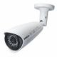 IP camera, Network Camera, wireless cameras