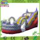 Guangzhou QinDa Bouncy Castle Inflatable, Inflatable Slide with CE