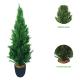 Cypress High Density Bonsai Evergreen Artificial Plants 1.2m-2m