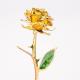 Wholesale OEM/ODM Real Preserved Rose Dipped In Gold Rose 24k Gold Roses