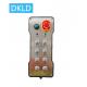 Eight-way dual speed switch industrial remote control